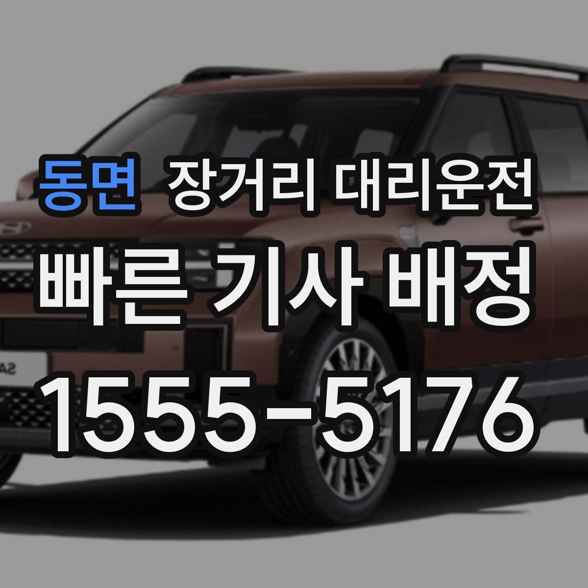 동면 장거리 대리운전