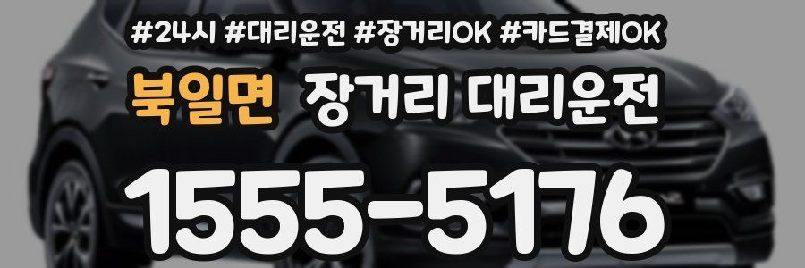 북일면 장거리 대리운전