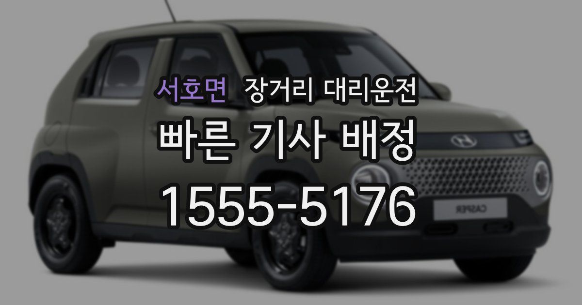 서호면 장거리 대리운전