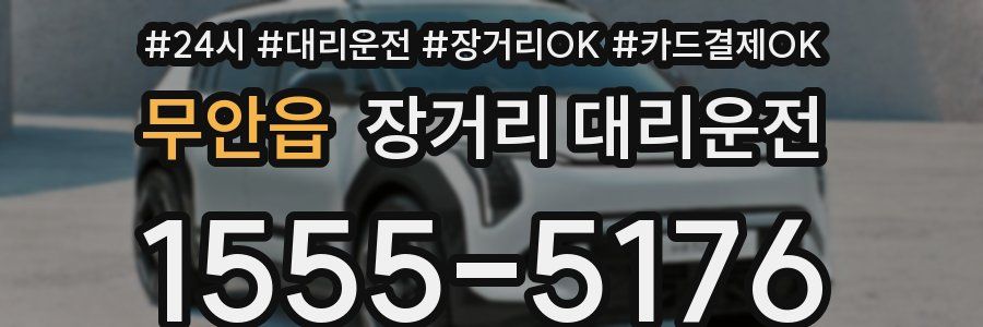무안읍 장거리 대리운전