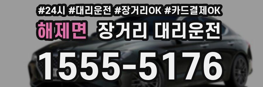 해제면 장거리 대리운전