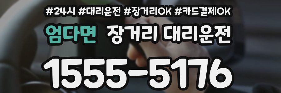 엄다면 장거리 대리운전