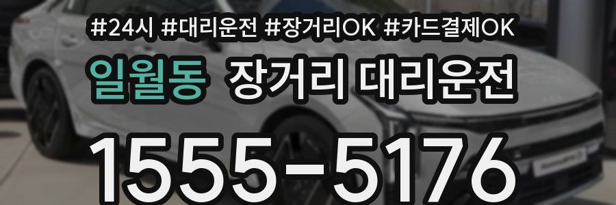 일월동 장거리 대리운전