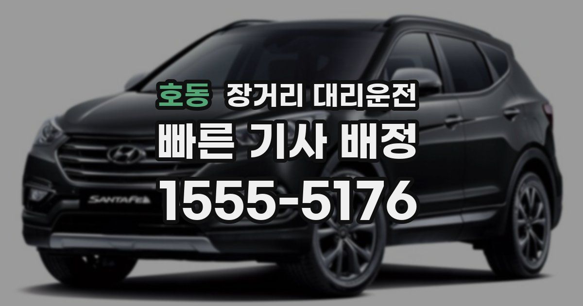 호동 장거리 대리운전