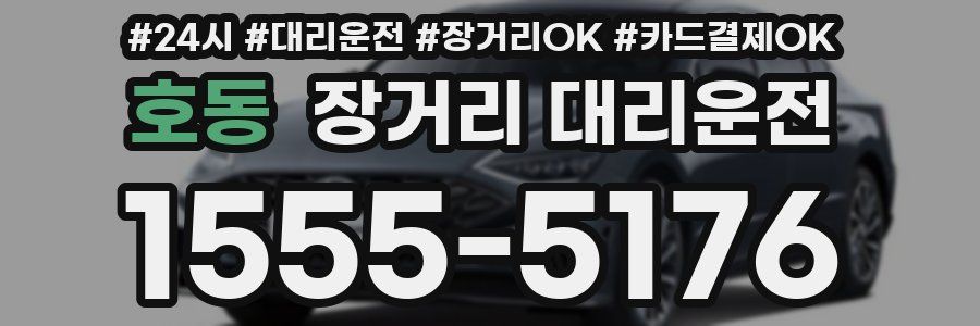호동 장거리 대리운전