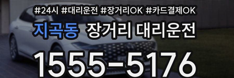 지곡동 장거리 대리운전
