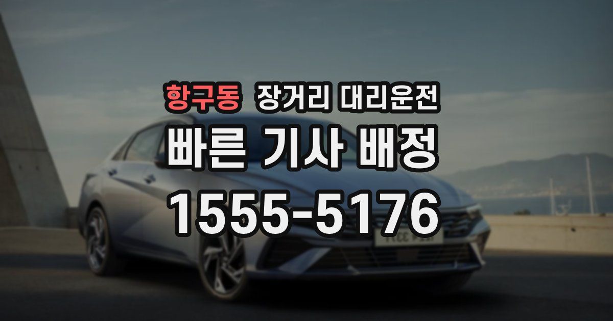 항구동 장거리 대리운전