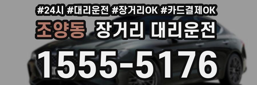 조양동 장거리 대리운전