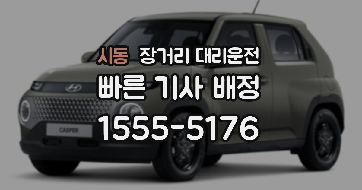 시동 장거리 대리운전