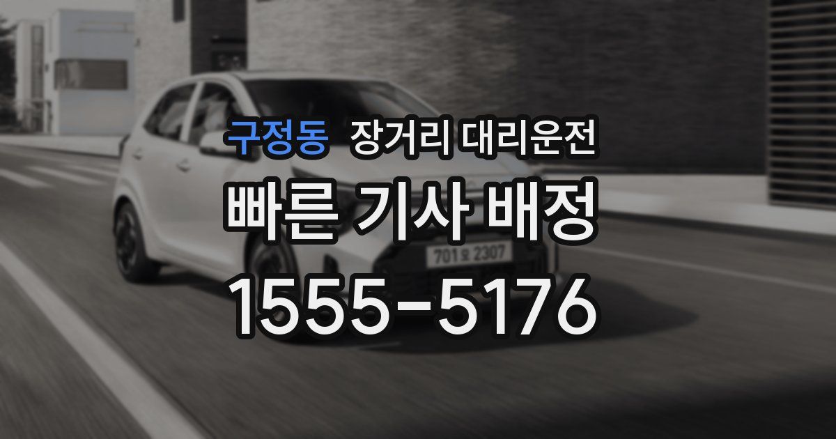 구정동 장거리 대리운전
