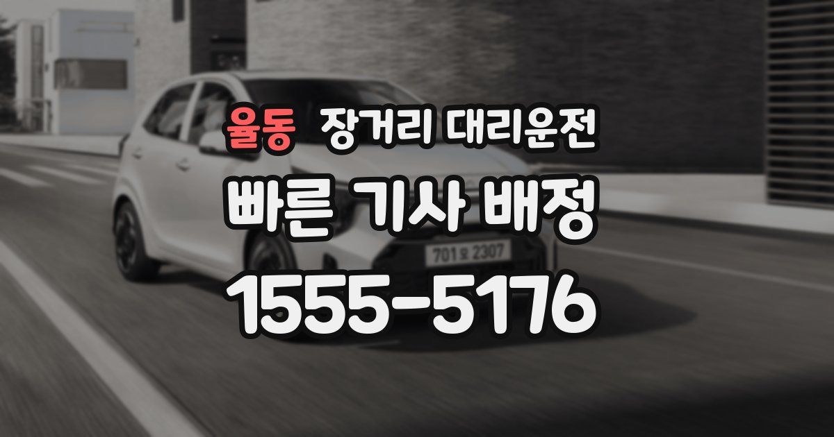 율동 장거리 대리운전