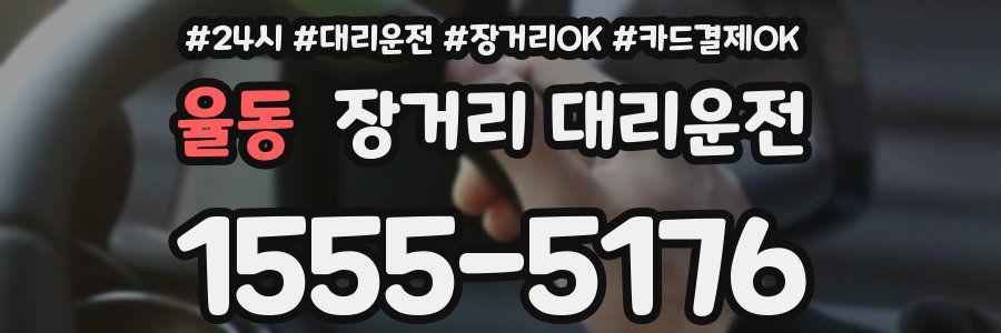 율동 장거리 대리운전