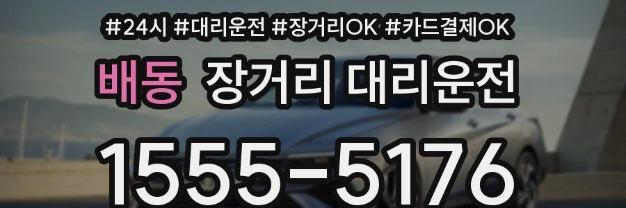 배동 장거리 대리운전