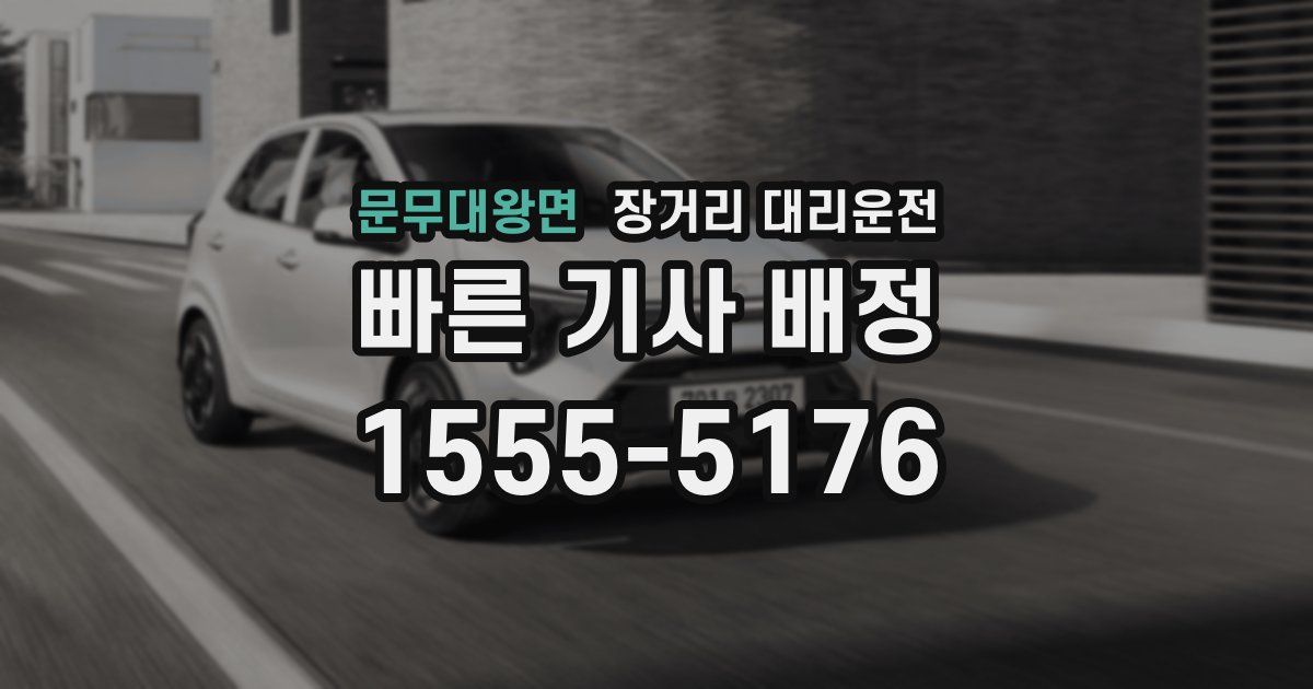 문무대왕면 장거리 대리운전