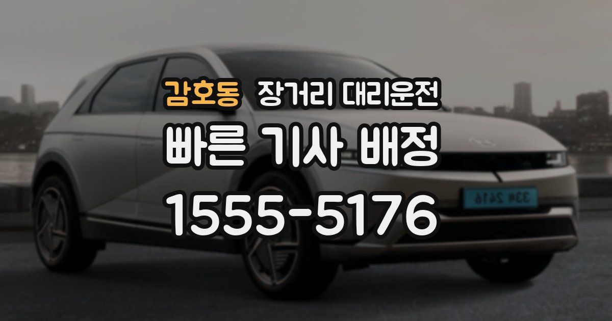 감호동 장거리 대리운전