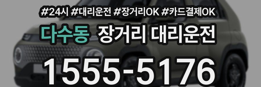 다수동 장거리 대리운전