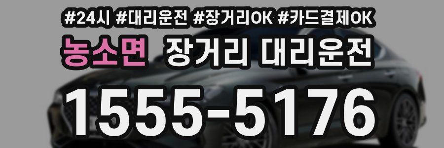 농소면 장거리 대리운전
