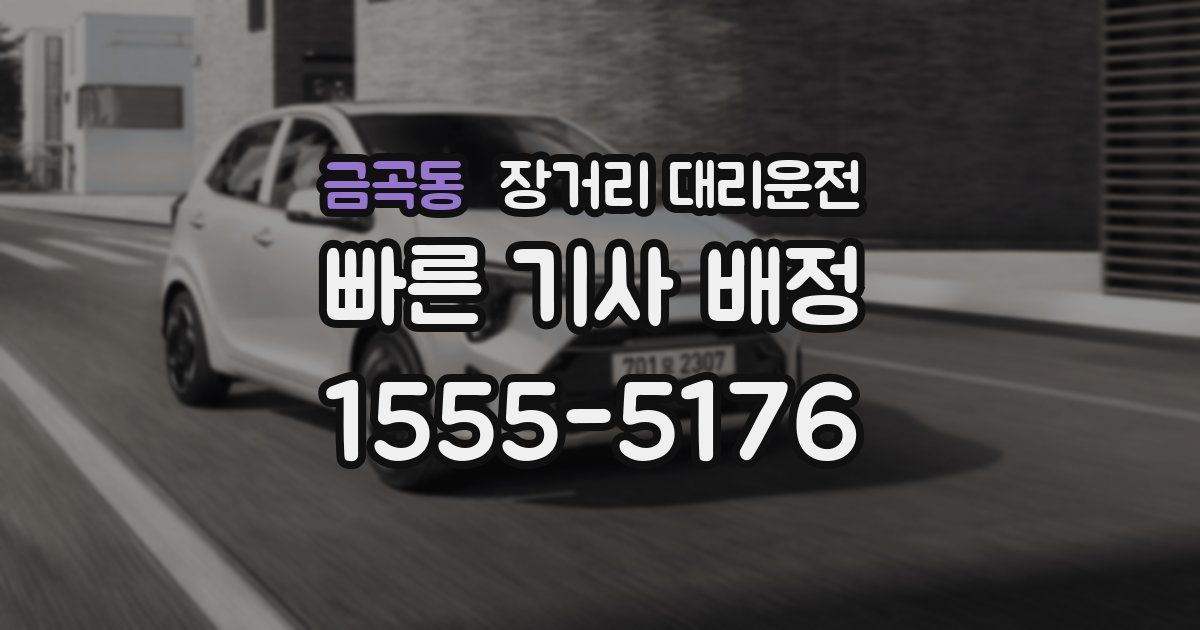금곡동 장거리 대리운전