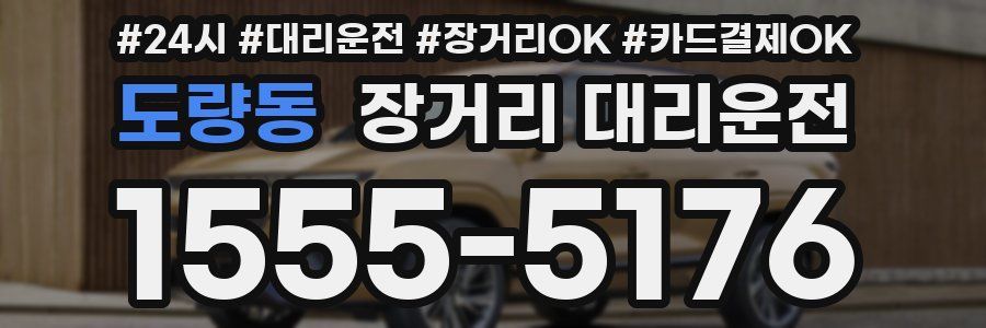 도량동 장거리 대리운전