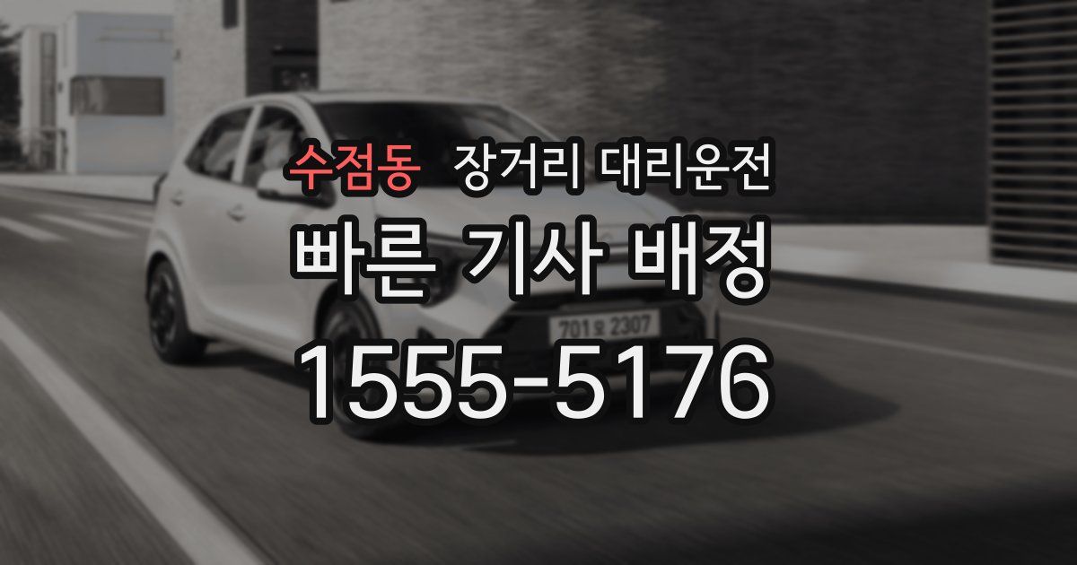 수점동 장거리 대리운전