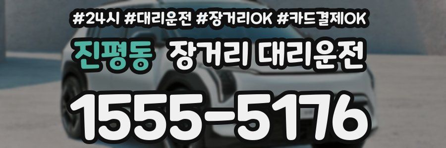 진평동 장거리 대리운전
