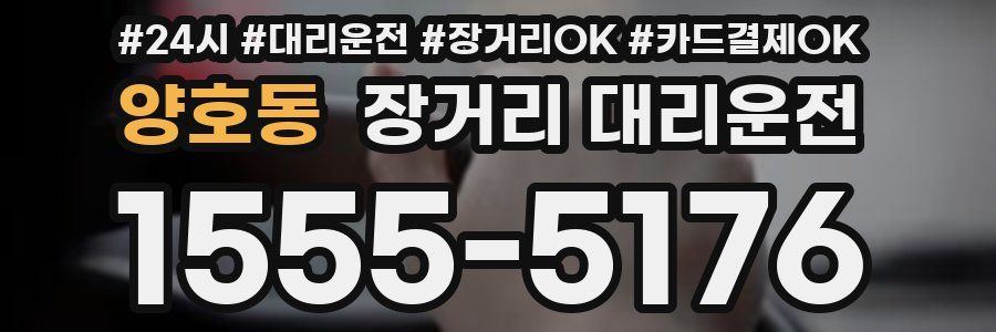 양호동 장거리 대리운전