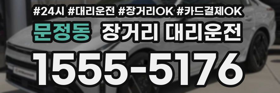 문정동 장거리 대리운전