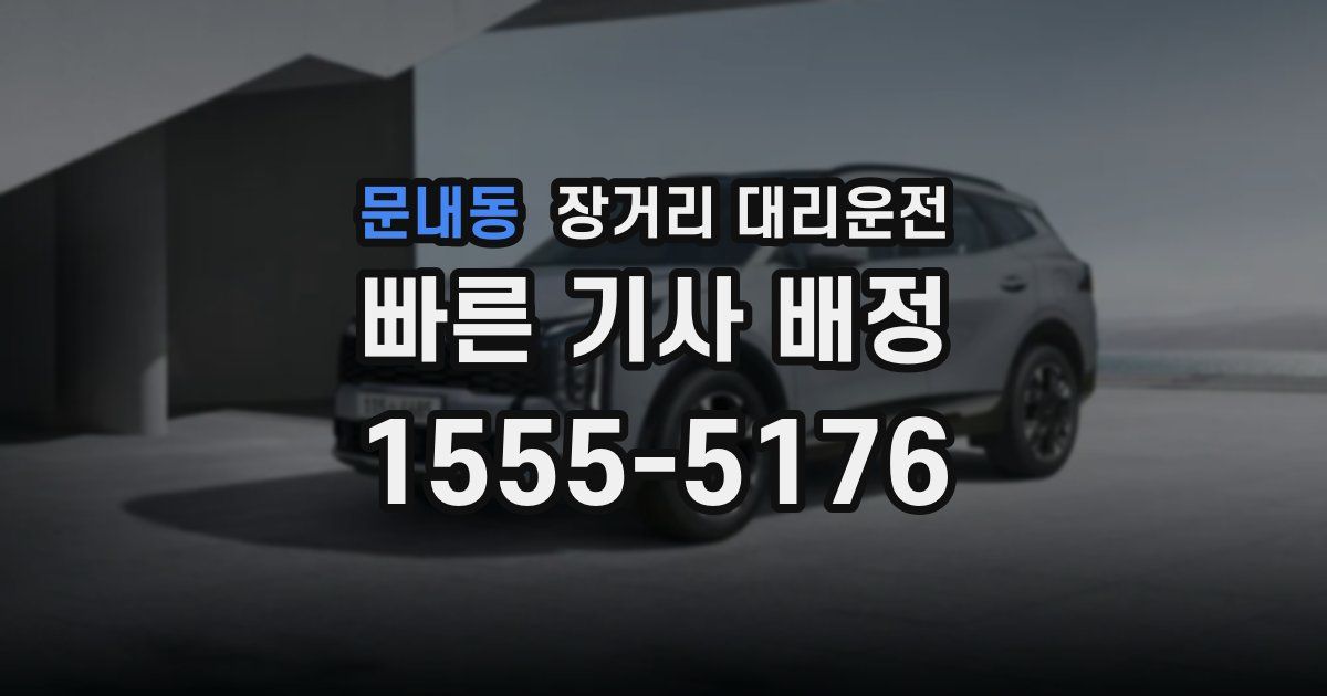 문내동 장거리 대리운전
