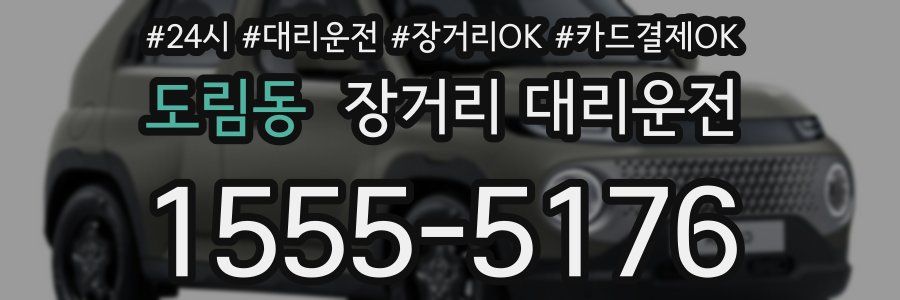 도림동 장거리 대리운전