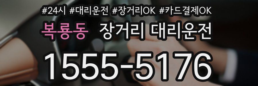 복룡동 장거리 대리운전