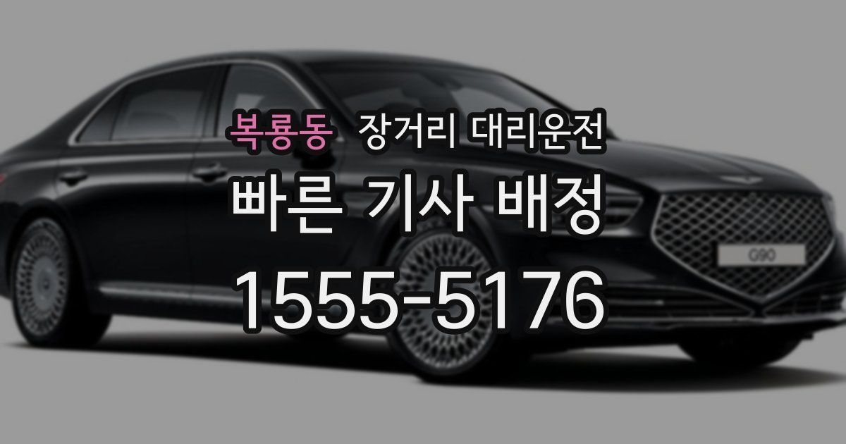 복룡동 장거리 대리운전