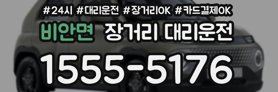 비안면 장거리 대리운전