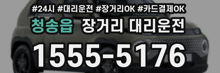 청송읍 장거리 대리운전
