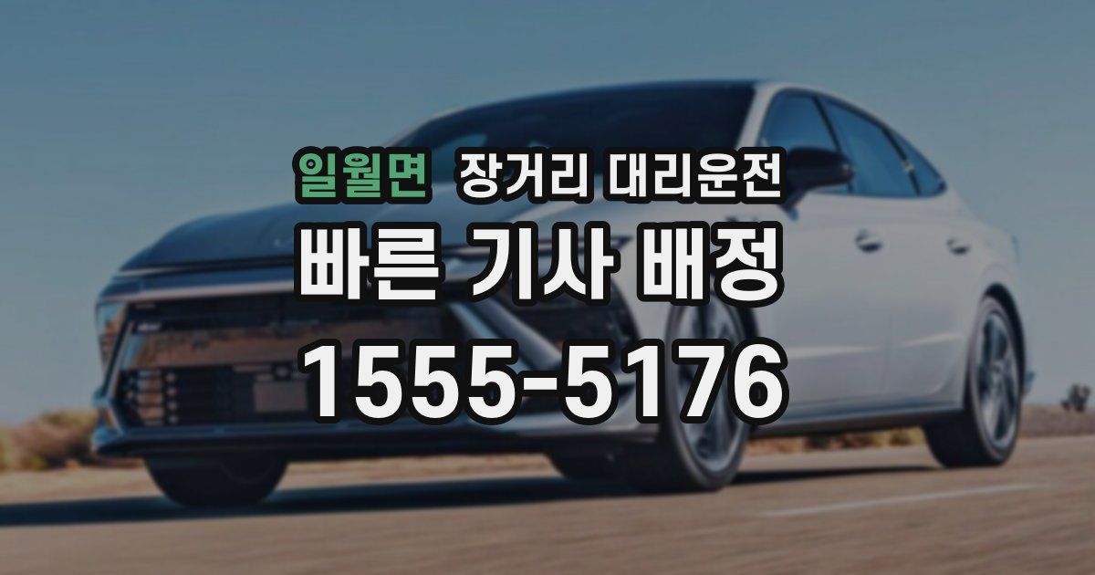 일월면 장거리 대리운전
