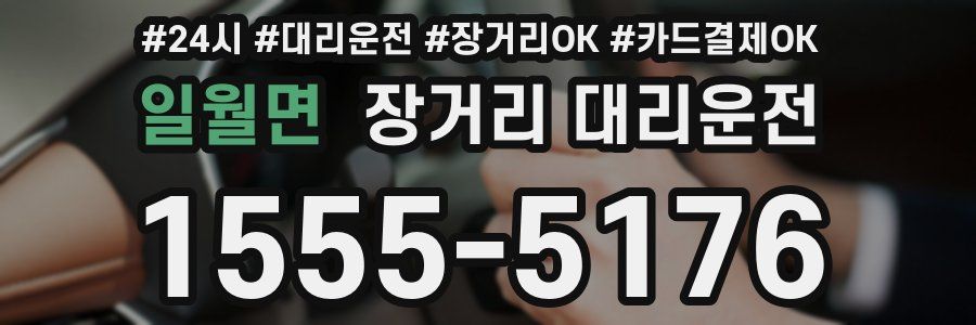 일월면 장거리 대리운전