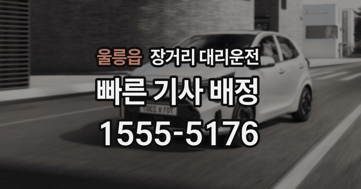 울릉읍 장거리 대리운전