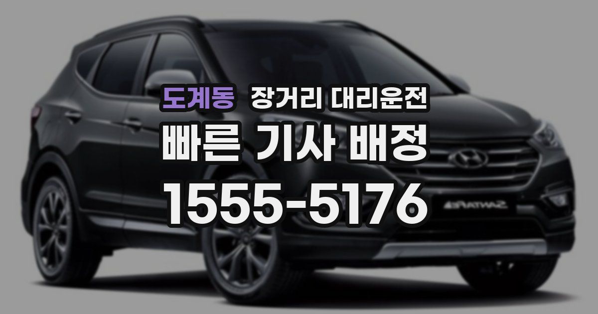 도계동 장거리 대리운전
