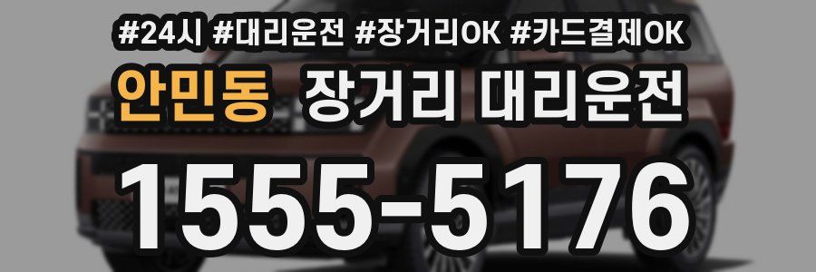안민동 장거리 대리운전