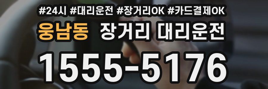 웅남동 장거리 대리운전