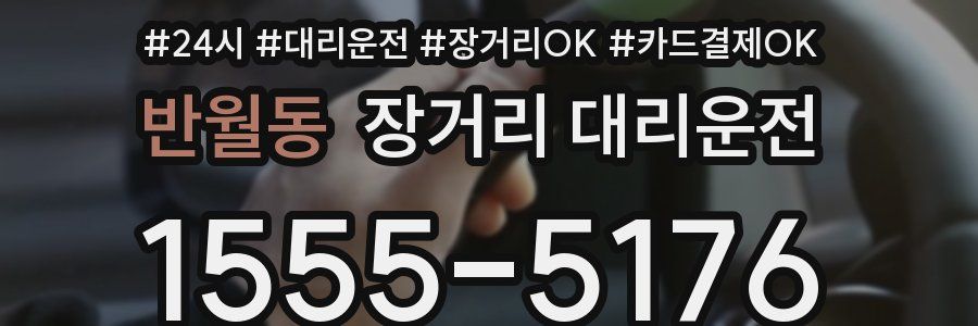 반월동 장거리 대리운전