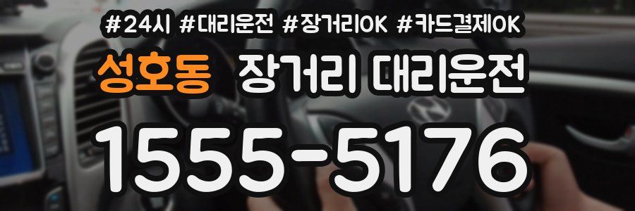 성호동 장거리 대리운전