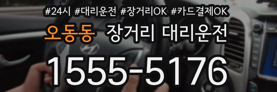 오동동 장거리 대리운전