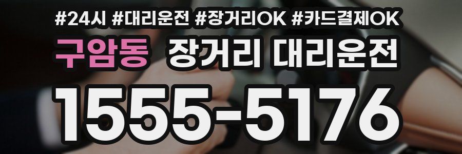 구암동 장거리 대리운전