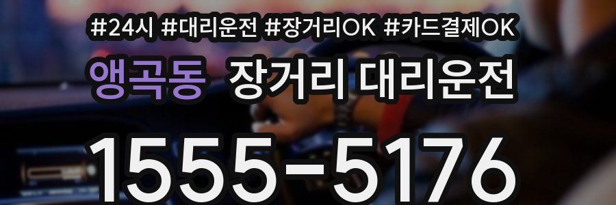 앵곡동 장거리 대리운전