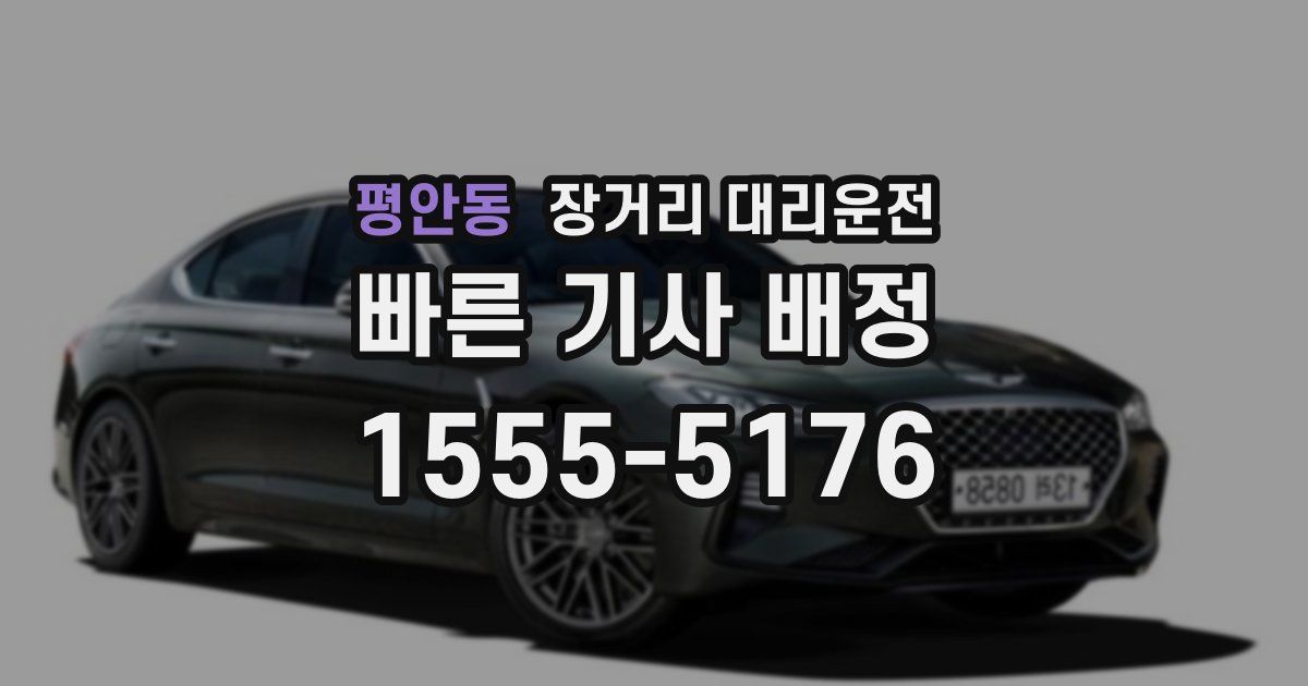 평안동 장거리 대리운전