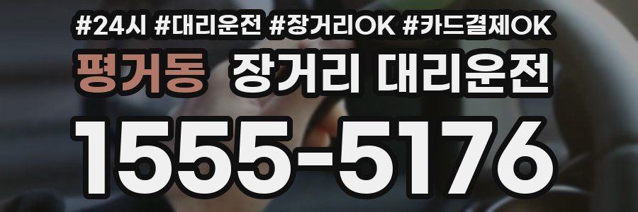 평거동 장거리 대리운전