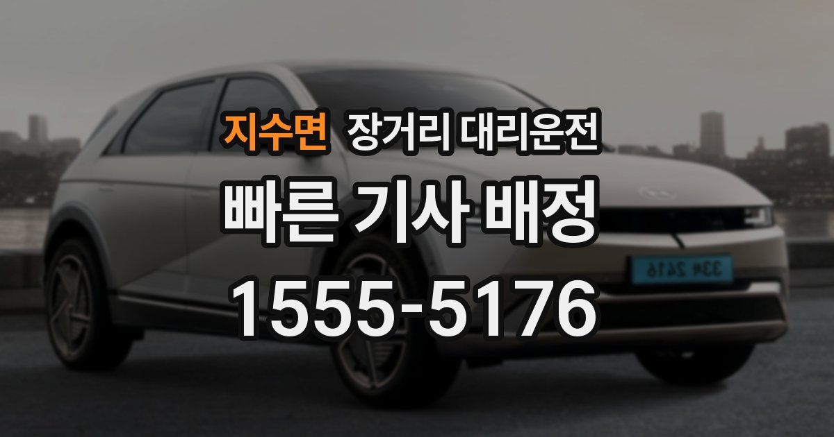 지수면 장거리 대리운전