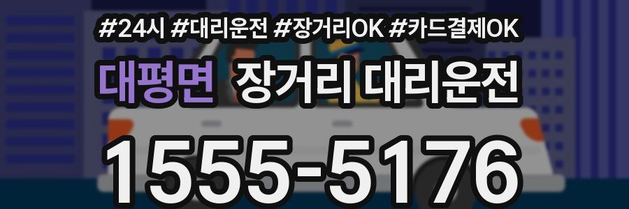 대평면 장거리 대리운전