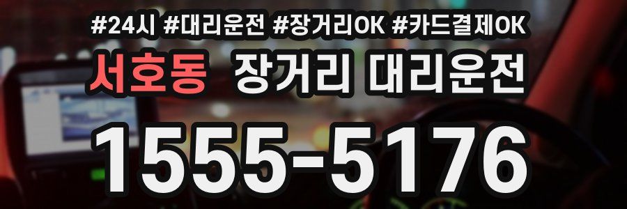 서호동 장거리 대리운전