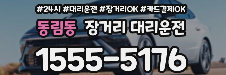동림동 장거리 대리운전